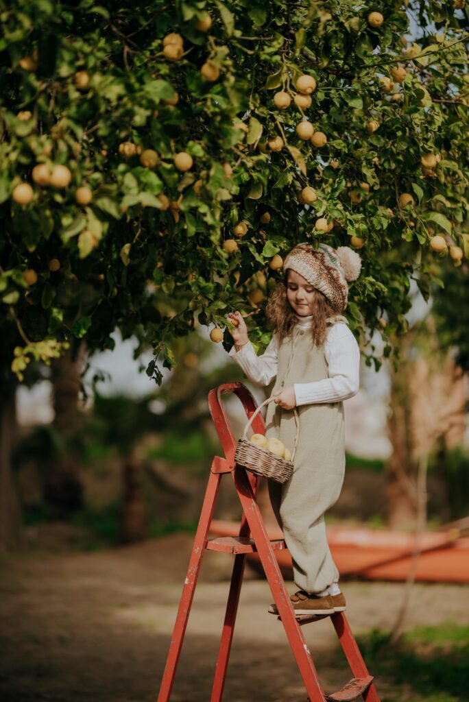 A young girl on a ladder picking fruits in a lush orchard in Hatay, Türkiye.